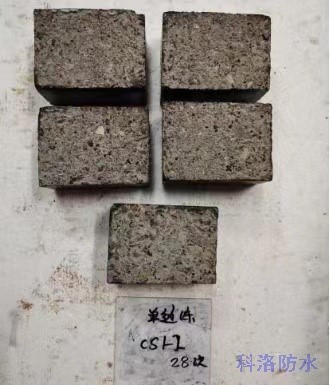 自制-CS1-2 28次循環(huán)。